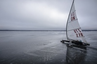 GMo-20250224-DN-EC-114227-2