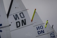 GMo-20250223-DN-EC-095924