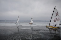 GMo-20250223-DN-EC-100702