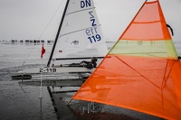 GMo-20250223-DN-EC-100711-2