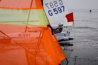 GMo-20250223-DN-EC-100719