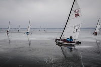 GMo-20250223-DN-EC-100738