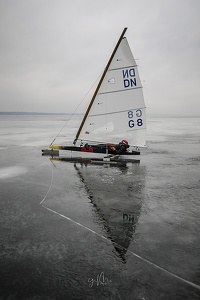 GMo-20250223-DN-EC-101150