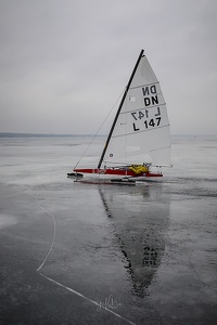 GMo-20250223-DN-EC-101153-2