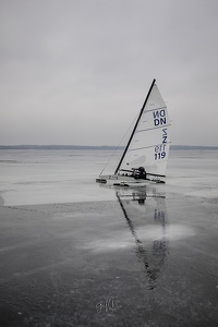 GMo-20250223-DN-EC-101202-2