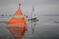 GMo-20250223-DN-EC-111043