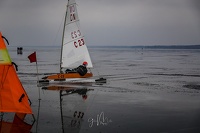 GMo-20250223-DN-EC-111037