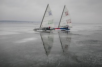 GMo-20250223-DN-EC-111130