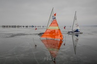 GMo-20250223-DN-EC-111141