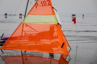 GMo-20250223-DN-EC-111147