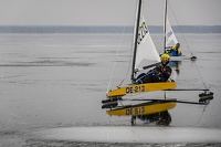 GMo-20250223-DN-EC-111611