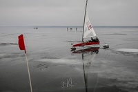 GMo-20250223-DN-EC-111705