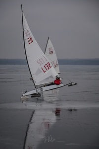 GMo-20250223-DN-EC-112023-2