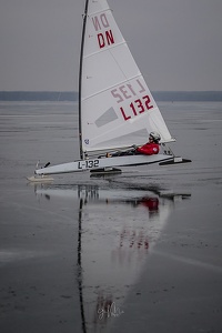 GMo-20250223-DN-EC-112023-3