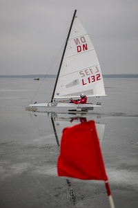 GMo-20250223-DN-EC-112024-2