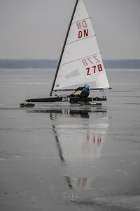 GMo-20250223-DN-EC-112032