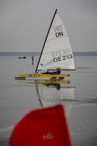 GMo-20250223-DN-EC-112038