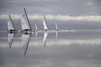 GMo-20240203-DN-WCEC-121444